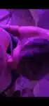 1000125969